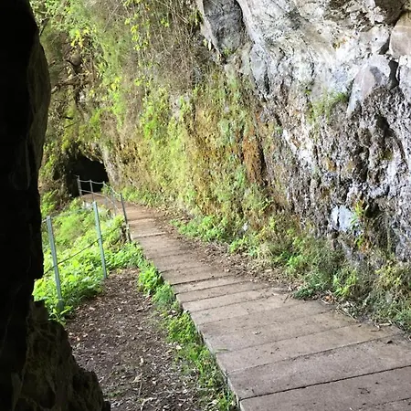 Oceanview Penthouse 카니코