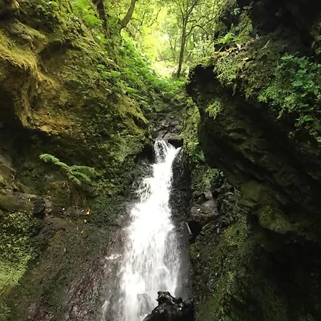 Oceanview Penthouse Апартаменты