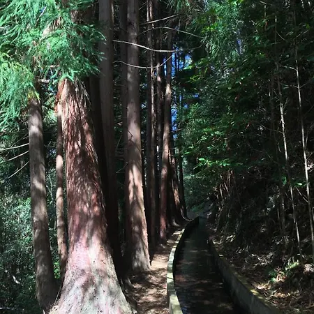 Апартаменты Oceanview Penthouse *