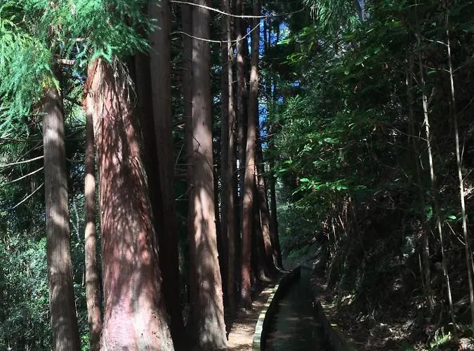 Appartamento Oceanview Penthouse *